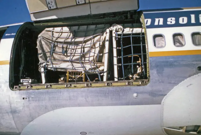 Dogs loaded aboard a Wien Jet airplane at Nome Airport heading home ca. March 1974. 