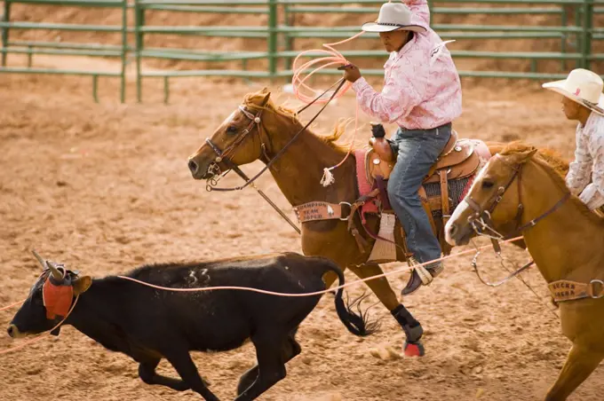 riders compete in the Team Steer Roping event, All Indian Rodeo, Gallup Inter-Tribal Indian Ceremonial, Gallup, New Mexico