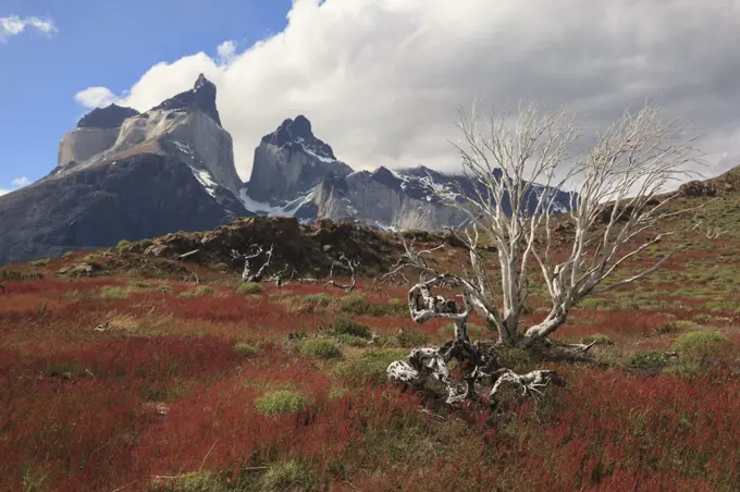 Torres del Paine National Park, Patagonia, Chile. 