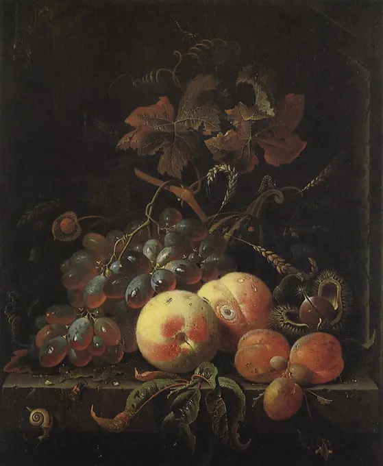 Fruit Still Life with Peaches, Grapes & Apricots, 1675. Mignon, Abraham.