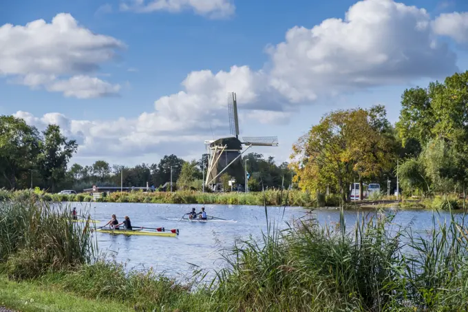 Crewing along the Amstel River with Rieker Windmill in background, Amsterdam, Netherlands.