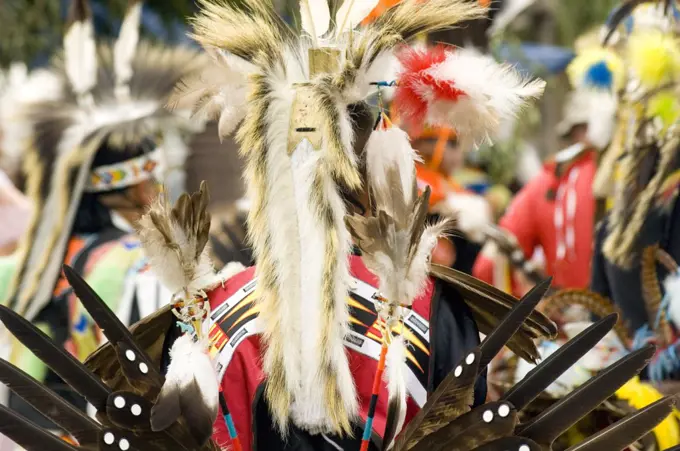 A Gathering Of North America'S Native People, Meeting To Dance, Sing, Socialize And Honor American Indian Culture At Taos Pueblo, New Mexico