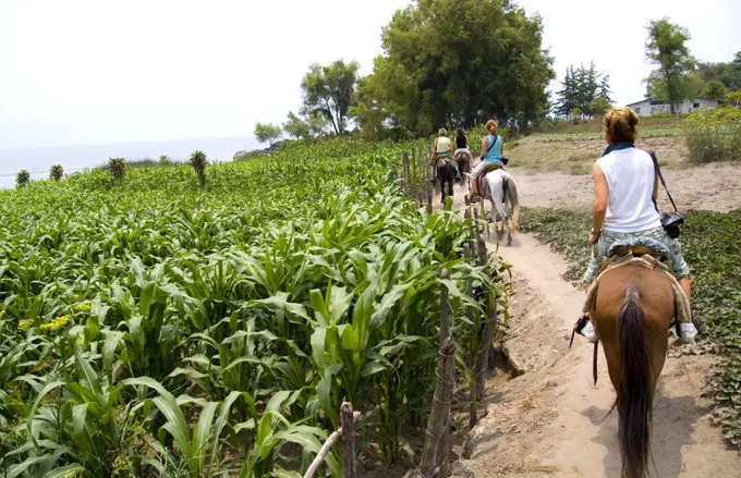 Tourists Riding Horses Through Village In Lake Atitlan Village Of San Pedro, Guatemala