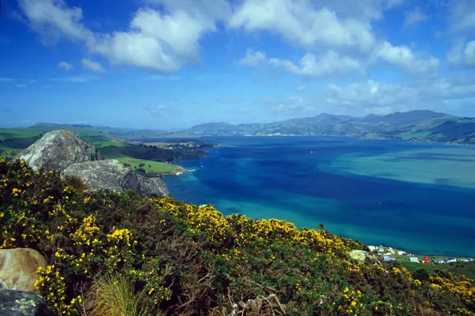 New Zealand. Otago Harbour