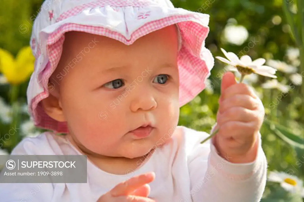 Beautiful 6 month old female girl infant baby toddler in pink sunhat hat in garden outside outdoors looking at daisy flower