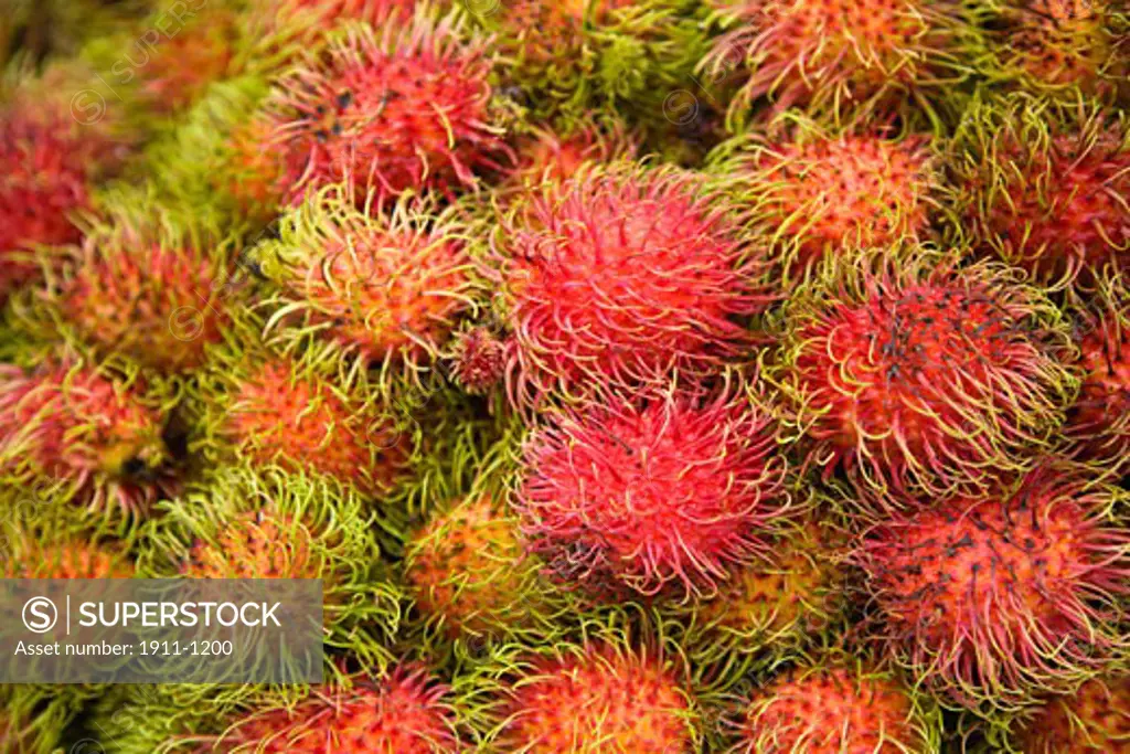 Rombutan fruit  Central Market  capital city of Kuala Lumpur  Malaysia Peninsula  Malaysia  SE Asia