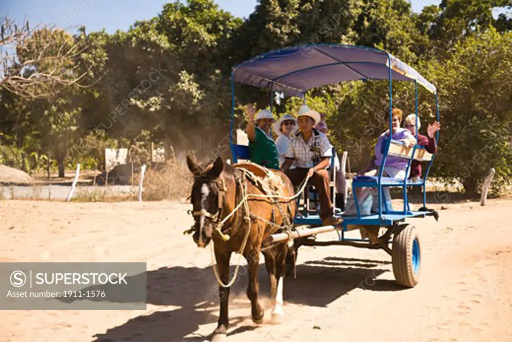 Horse Carriage Ride  Stone Island  Mazatlan  Sinaloa State  Mexico