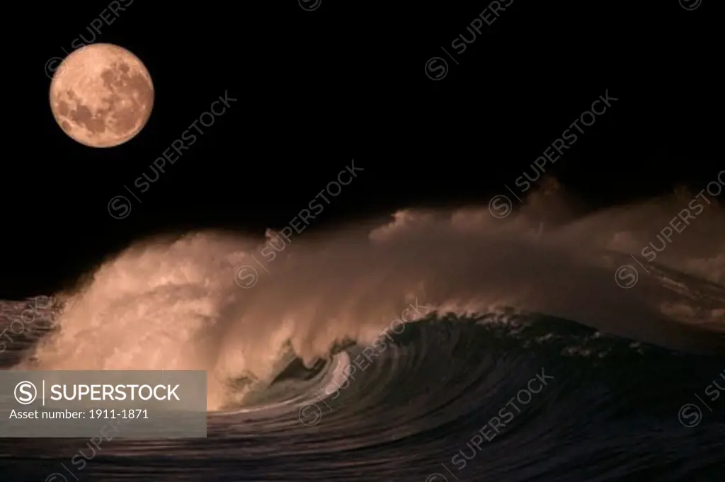 Pacific Storm Waves  North Shore of Oahu  Hawaii