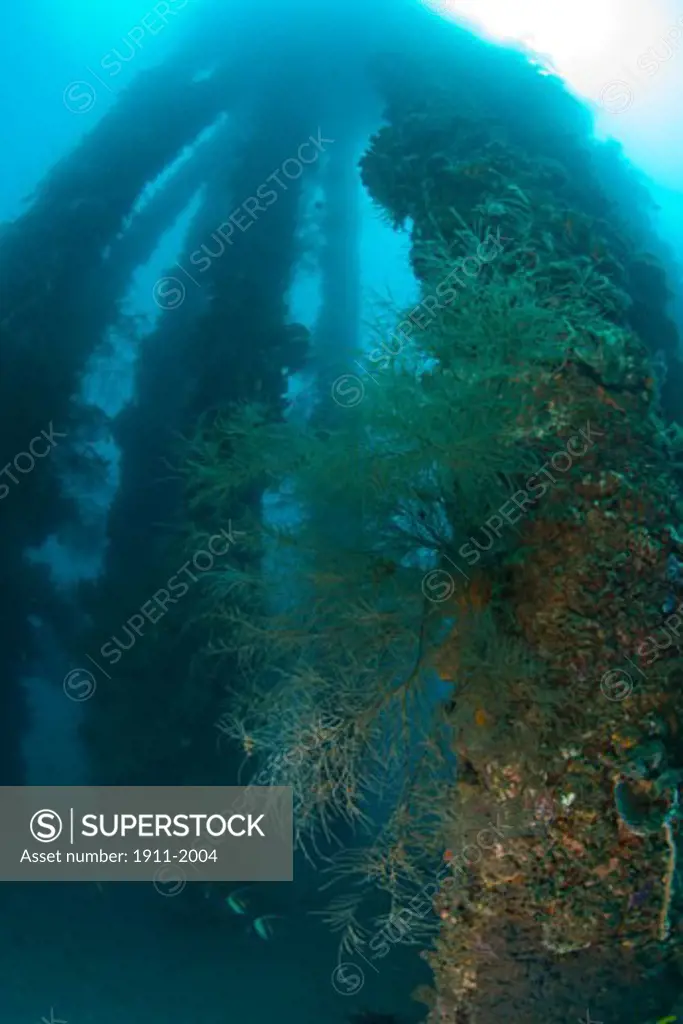 Dumaguete Pier  capital of Negro Oriental Island  Philippines  SE Asia