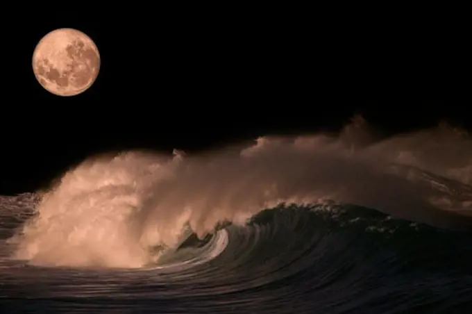 Pacific Storm Waves  North Shore of Oahu  Hawaii