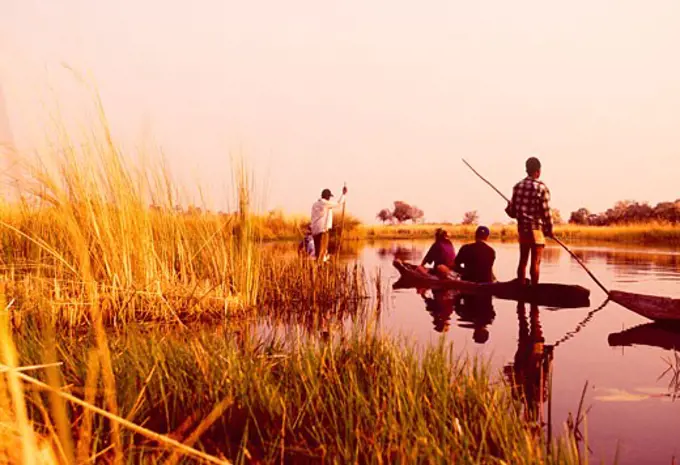 Touring Okavango Delta   Worlds Largest Inland Delta