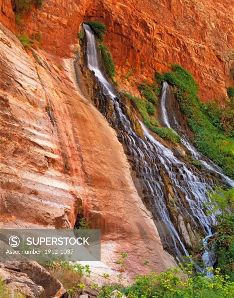 Vaseys Paradise  Spring from Redwall Limestone  Grand Canyon National Park  Arizona