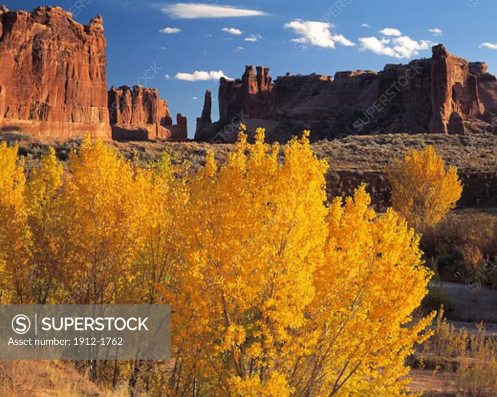 Autumn Cottonwoods  Arches National Park  Utah