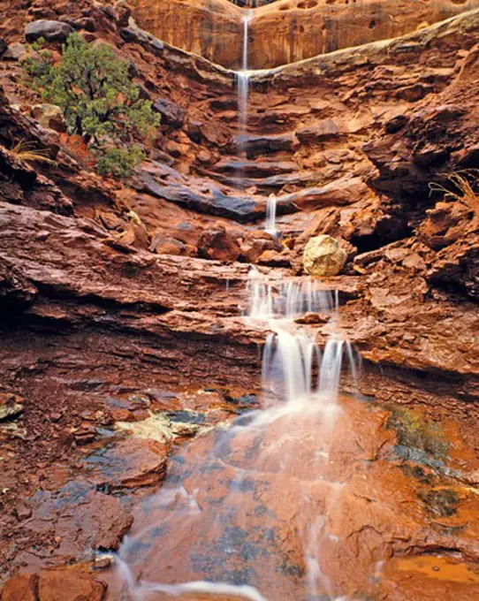 Flashflood Waterfall  Arches National Park  Utah