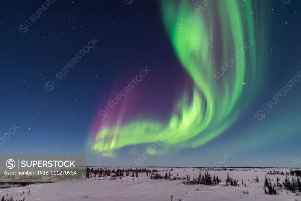 A superb display of aurora borealis seen on March 14, 2016 when it reached Level 5 storm levels. Here it begins in the evening twilight and in the light of the 6-day-old Moon. Jupiter is at right. This view is looking east.This was seen and shot from the Churchill Northern Studies Center, Churchill, Manitoba, with this image being one frame from some 2000 I shot this night as part of rapid-cadence time-lapse sequences. Frames were shot at f/1.4 with the Sigma 20mm lens and Nikon D750 using 1 t