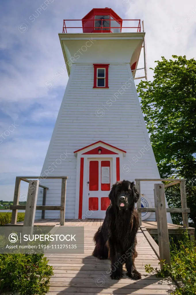 Victoria Seaport Lighthouse Museum with Newfoundland dog Charley at entrance; Prince Edward Island, Canada.