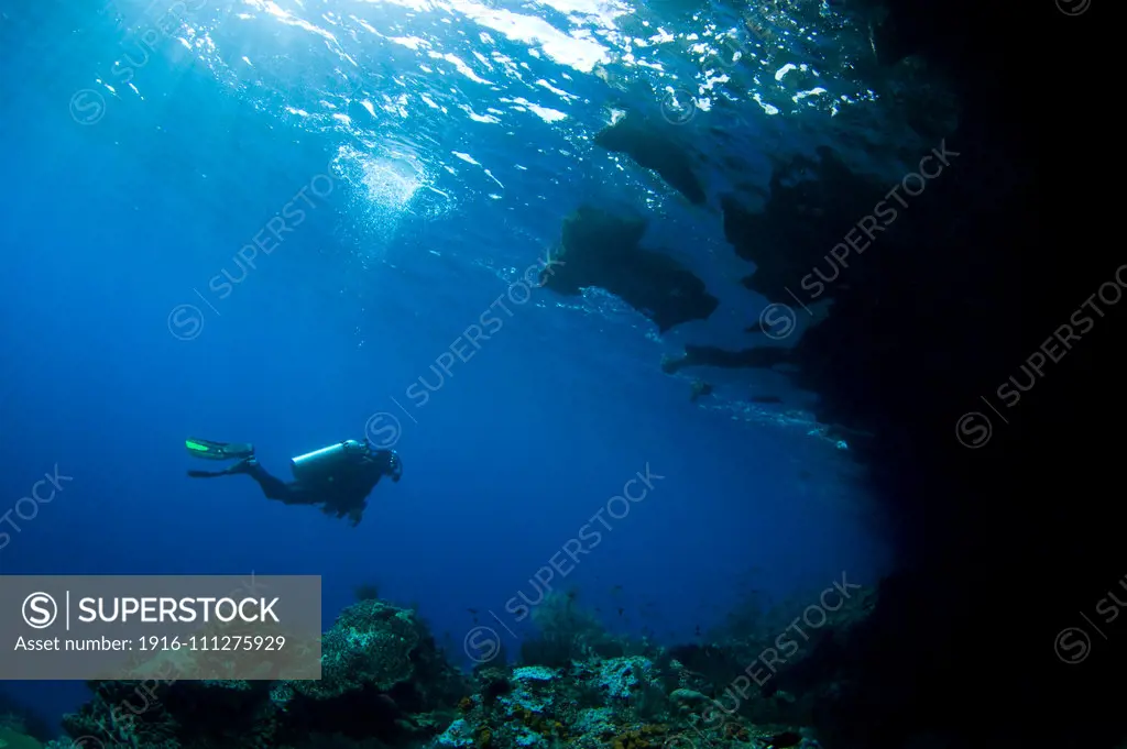 A diver explores underhang of a mushroom shaped island, Raja Ampat, West Papua, Indonesia, Pacific Ocean