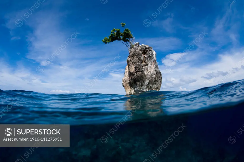 One Tree Rock, Boo Island, Misool, Raja Ampat, West Papua, Indonesia, Pacific Ocean