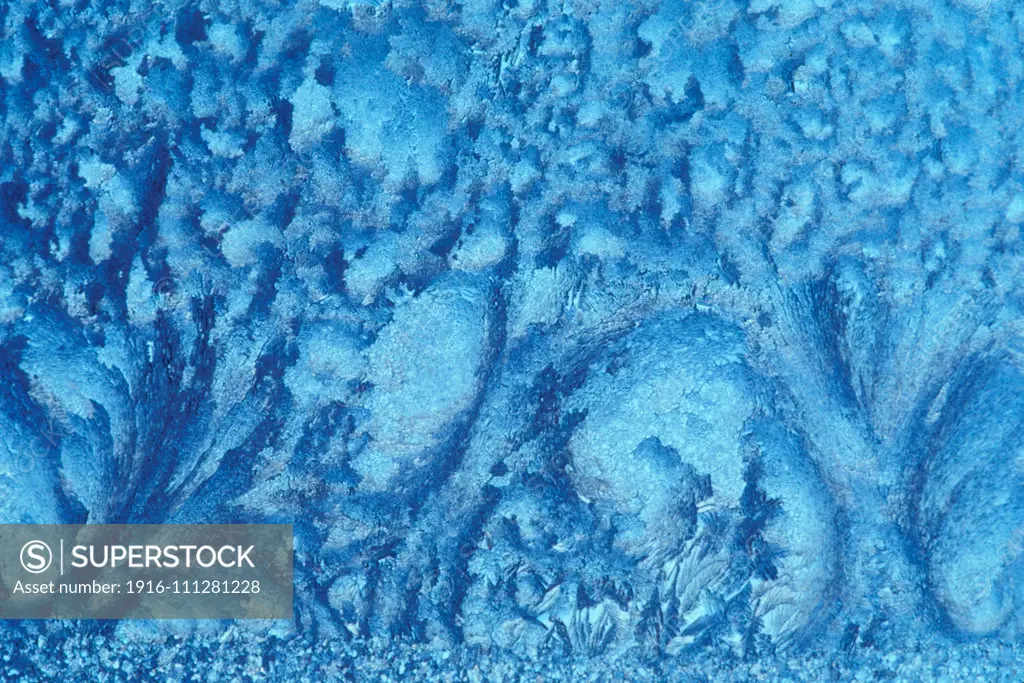 Window frost abstract forest trees in winter Kleefeld Manitoba Canada