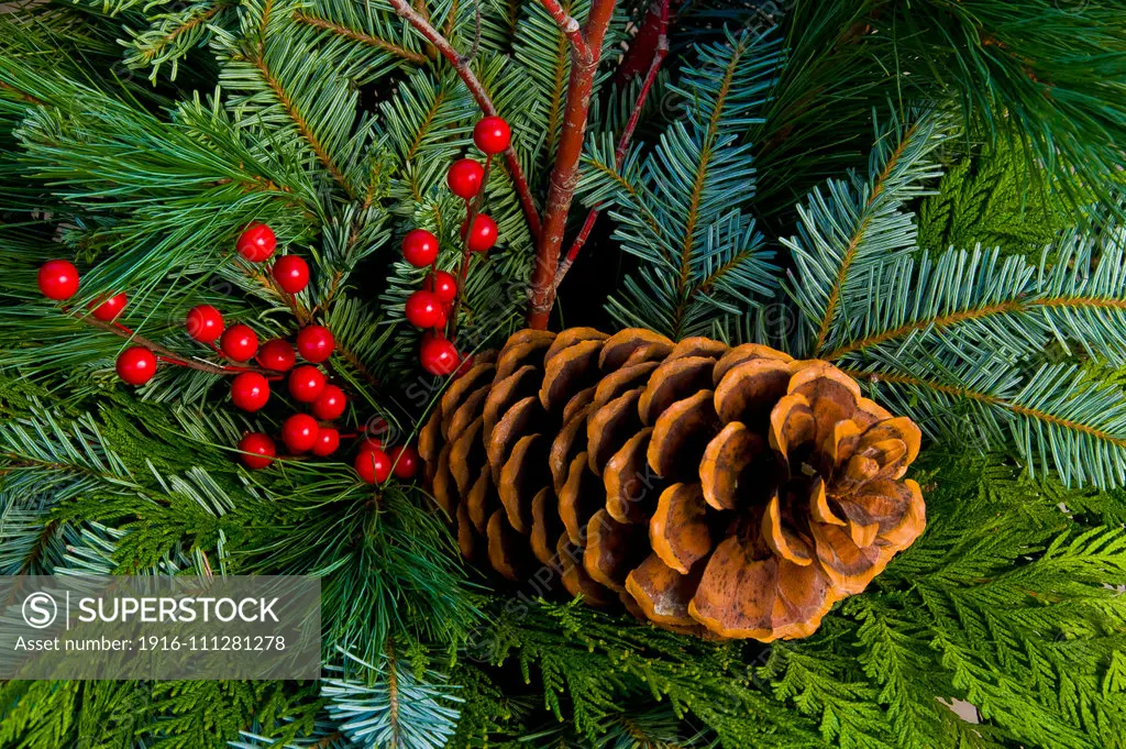 Christmas wreath with pine cone and berries.