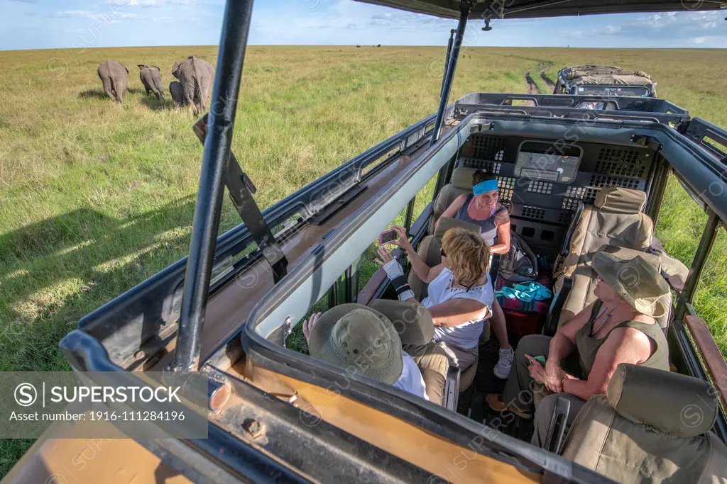 Tourist watch elephants from game viewer in the  Maasai Mara National Reserve, Kenya