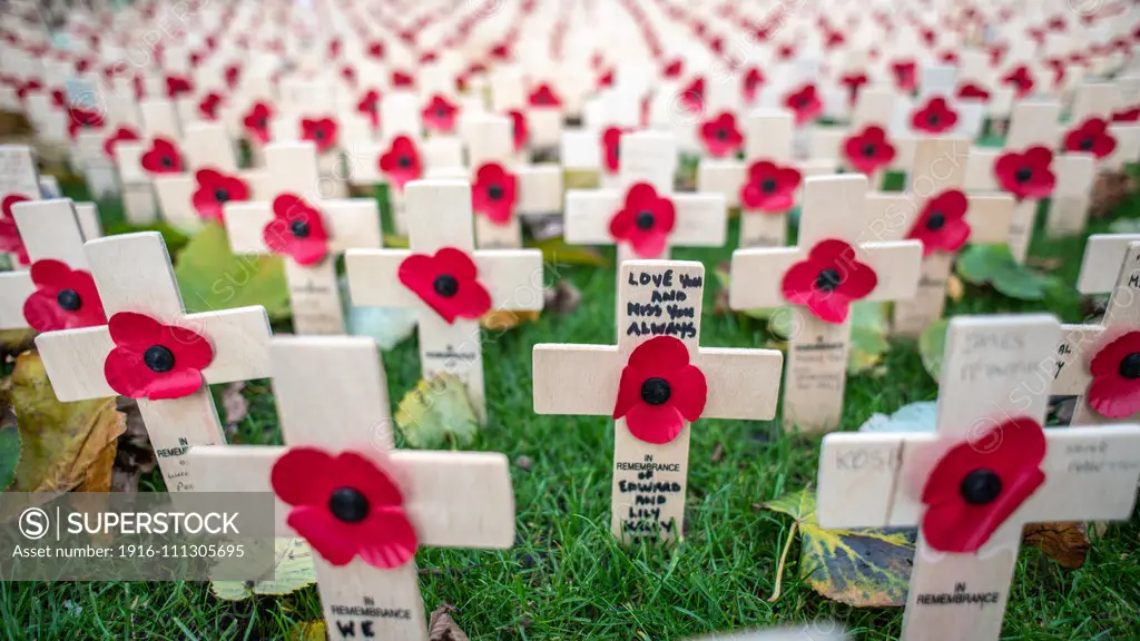 Close-up of crosses adorned with red poppy flowers for Remembrance Day,  Edinburgh, Scotland