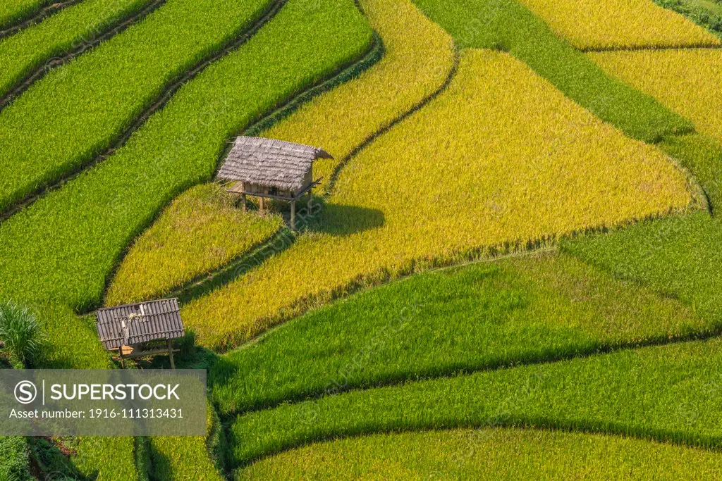 Terrace rice fields in Mu Cang Chai, near Sapa, Northern Vietnam