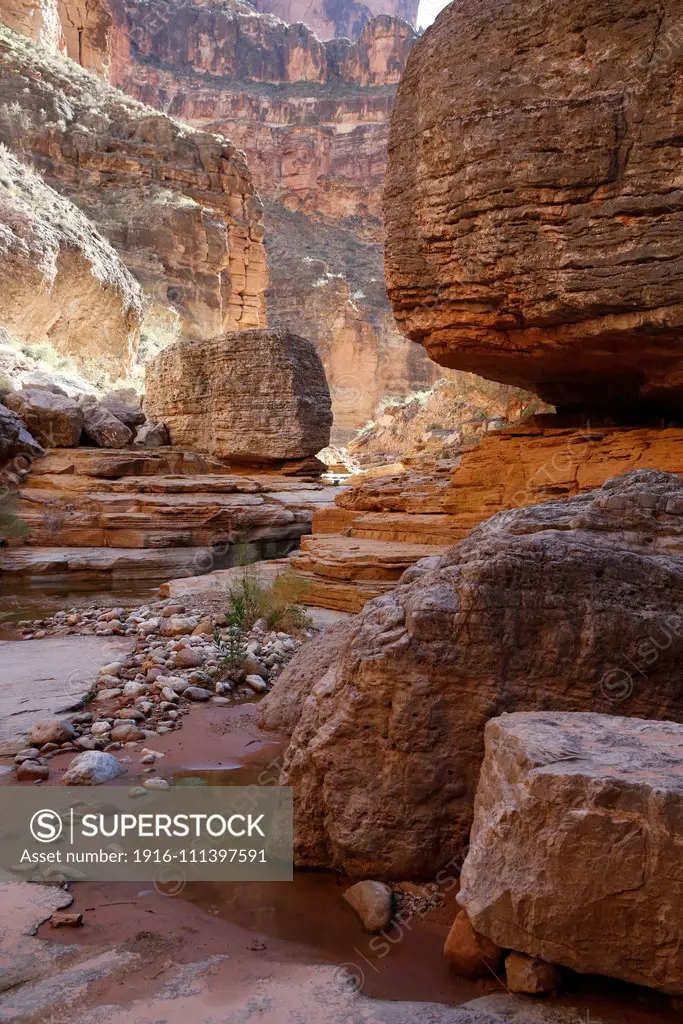 Grand Canyon National Park, Arizona, United States.