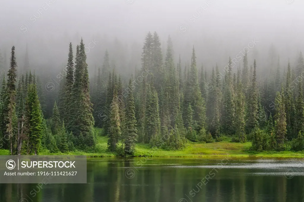 Clearing fog over Reflection Lake; Mount Rainier National Park, Washington.