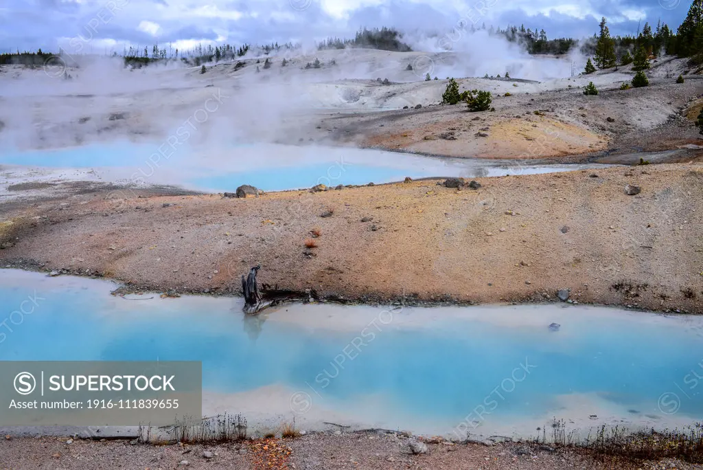 Norris Geyser Basin in Yellowstone National Park, USA