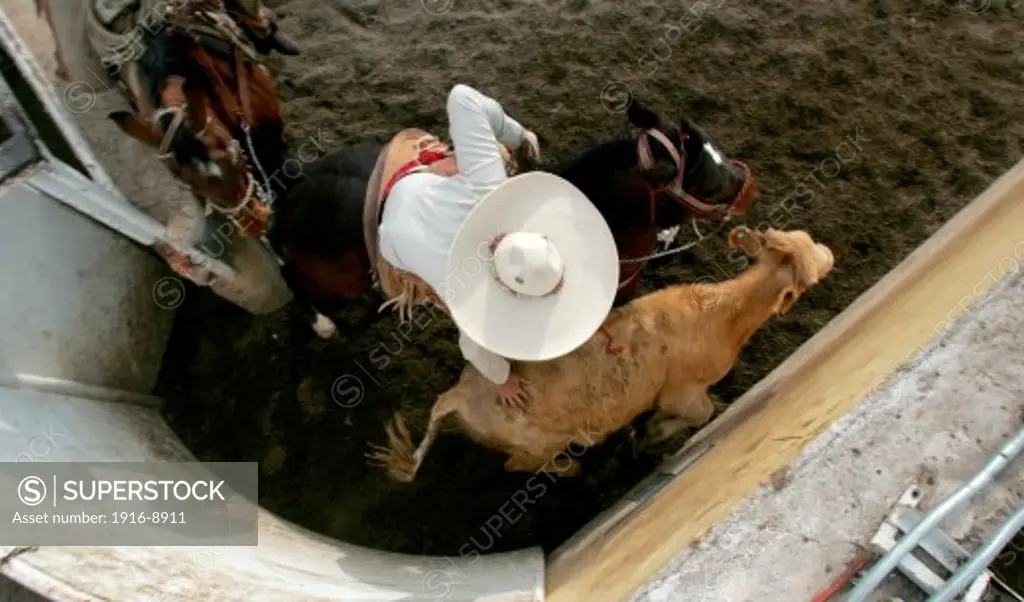 Mexican Cowboys compete in our National Sport, 'La Charreria'. In the Lienzo Charro teams perform several disiplines to win prizes. San Luis Potosi, Mexico.