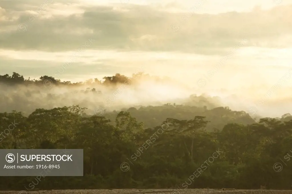 Manu National Park, Peru