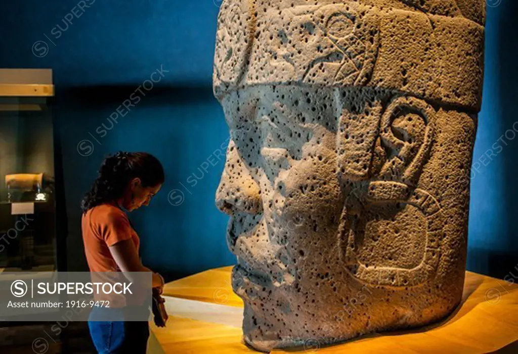 Olmec Giant Head, National Museum of Anthropology. Mexico City. Mexico