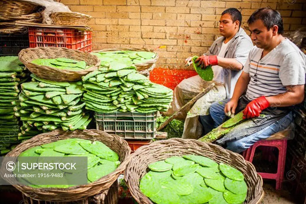 La Merced market, nopales shop, Mexico City, Mexico