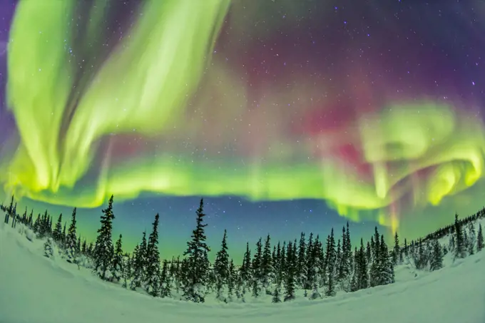 The aurora borealis, the Northern Lights, on Feb 21, 2015, from tne Churchill Northern Studies Centre, Churchill, Manitoba, This is looking north with an ultrawide 15mm lens taking in about half the sky from west (left) to east (right) and with the zenith near the top. This is a 15-second exposure at f/2.8 and ISO 3200 with the Canon 6D camera. This frame is part of a 360-frame time lapse taken over 1.5 hours.