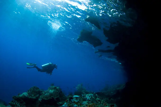 A diver explores underhang of a mushroom shaped island, Raja Ampat, West Papua, Indonesia, Pacific Ocean
