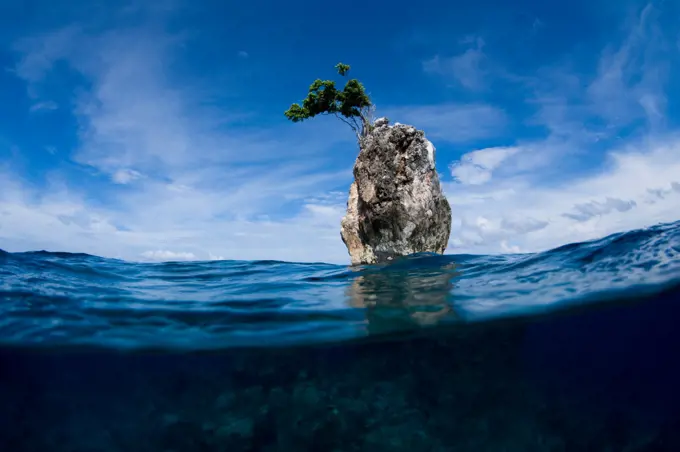 One Tree Rock, Boo Island, Misool, Raja Ampat, West Papua, Indonesia, Pacific Ocean