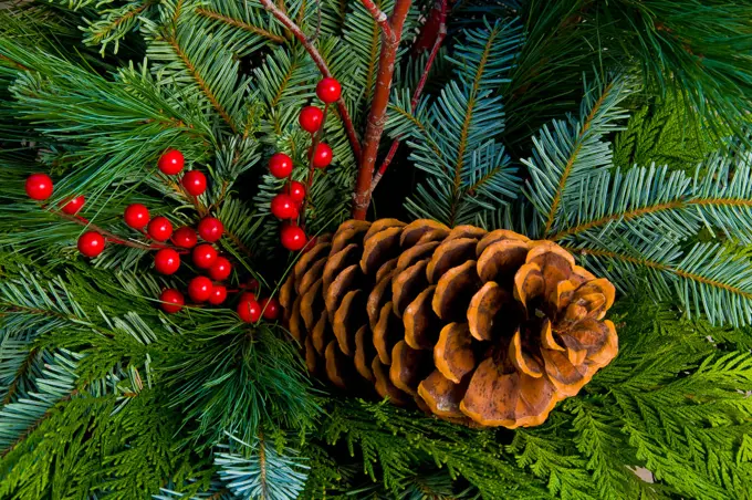 Christmas wreath with pine cone and berries.