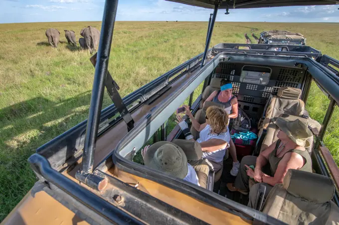 Tourist watch elephants from game viewer in the  Maasai Mara National Reserve, Kenya