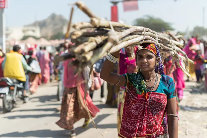 Pushkar Fair is the annual five-day camel and livestock fair, held in the town of Pushkar in the state of Rajasthan, India.