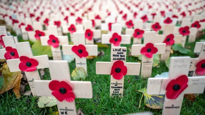 Close-up of crosses adorned with red poppy flowers for Remembrance Day,  Edinburgh, Scotland