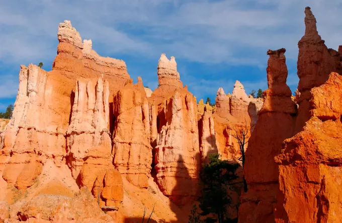 Bryce Canyon Hoodoos, Queen's Garden Trail, Bryce Canyon National Park, Utah