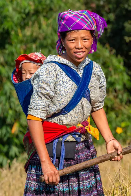 Female workers in terrace rice fields, Mu Cang Chai, near Sapa, Northern Vietnam