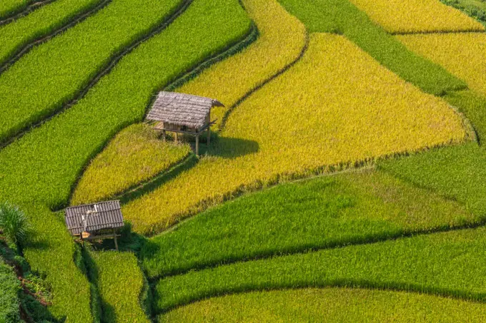 Terrace rice fields in Mu Cang Chai, near Sapa, Northern Vietnam