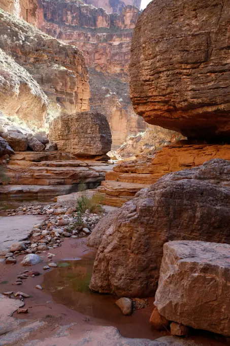 Grand Canyon National Park, Arizona, United States.