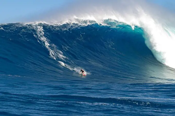 USA, Hawaii, Maui, Peahi, tow-in surfer drops to curl of Hawaii's big surf