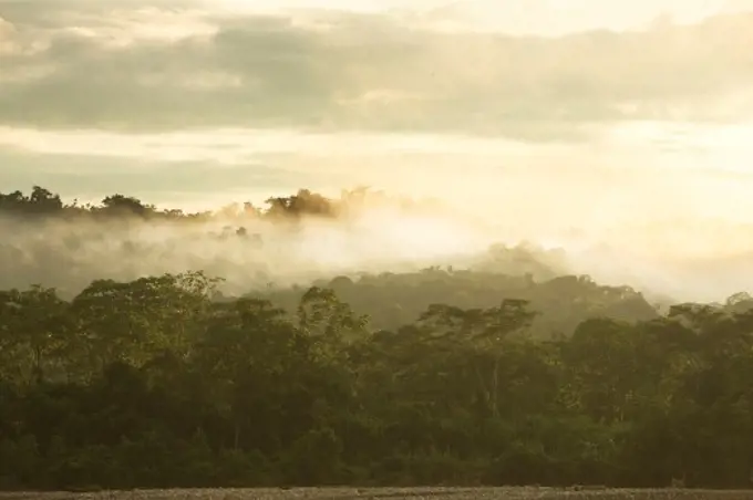 Manu National Park, Peru