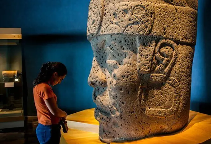 Olmec Giant Head, National Museum of Anthropology. Mexico City. Mexico