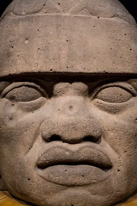 Olmec Giant Head, National Museum of Anthropology. Mexico City. Mexico