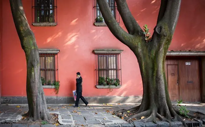 Avenida Francisco Sosa, Coyoacan, Mexico City, Mexico